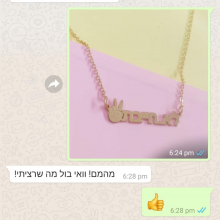 בול מה שרציתי!